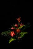 Tropical Taste