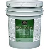 EXT S G NEUTRAL BS PAINT