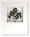 �s�t�����[�t���[���tHana concept frame Rose/red�i���[�Y/���b�h�j