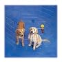 Precision Pet Pro Handler Indoor/Outdoor Exercise Pen, 42"H, Silver