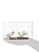 Lee's Betta Keeper Large w/Lid, Gravel and Plant