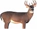 Renzo's® Whitetail Buck Decoy
