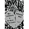 The Ephemeral Firmament: Books