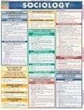 Sociology (Quickstudy Reference Guides - Academic)