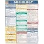 Sociology (Quickstudy Reference Guides - Academic)