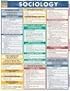 Sociology (Quickstudy Reference Guides - Academic)