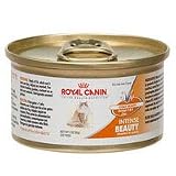 Royal Canin Intense Beauty Wet Cat Food Case