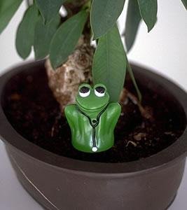 Dr. Frog Electronic Moisture