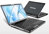 Toshiba Satellite P305D-S8900 17" Laptop Computer