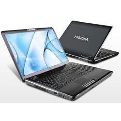 Toshiba Satellite P305D-S8900 17