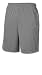 Men's Athletic Shorts | Athletic Shorts | Sweat Shorts | Champion Shorts - 1 Champion Double Dry Short with Sideseam Piping 82058 Stone Gray (BR4) M