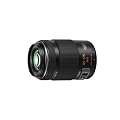 Panasonic H-PS45175E-K Lumix G X VARIO 45-175mm F4.0-5.6 ASPH. Micro Four Thirds Interchangeable Lens