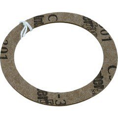 Hayward Inlet/Outlet Fittings SLIP WASHER SPX1025Z3