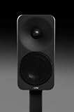 ION L 2 way bookshelf speaker in black
