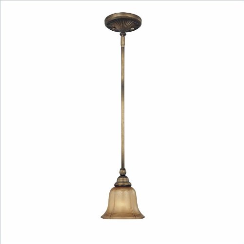 31wbAXBGswL Minka Lavery La Cecilia 4141 573 Mini Cone (17H x 6W) 100 watt Pendant in Patina Iron Reviews