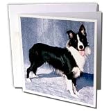Dogs Border Collie - Border Collie - Greeting Cards-12 Greeting Cards with envelopes
