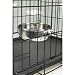 Pet Supplies : Clamp On Crate Dish 30 Oz
