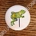 Carousel Horses ~ Carousel Horse Menagerie #01 ~ Drawer Pulls Knobs