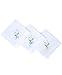 boxed-gifts Embroidered Handkerchiefs (Fancy Floral)