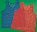CASE LOT 48 -SCHOOL SPORTS CHILD'S PINNIES / JERSEYS (24 RED, 24 BLUE)