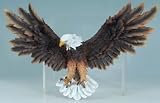 Decorative Soaring Eagle Wall Plaque