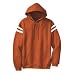 Sport-Tek Hoodie with Mesh Arm Stripe