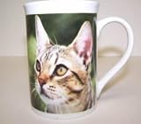 607742A Coffee Mug Brown Tabby 4in