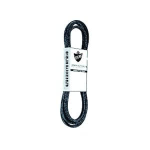 Serpentine Belt by