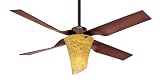 Review Hunter Fan Company  / Hunter Ceiling Fans 21188 Zoe Fan - Remote Bronze Patina Contemporary Indoor Fan 52