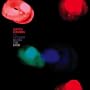 An Optimist Notes the Dusk [Vinyl LP]