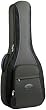 Reunion Blues RB Continental Acoustic Dreadnought Guitar Case