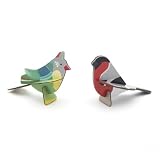 Finches Pop Out Card