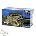 Pet Supplies : Pets International Grassy Tunnel Small