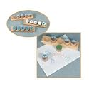 Butterfly Lifecycle Stamp Set