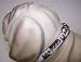 Kitchen & Housewares : Jungle Princess 12in Dog Collar Snow Leopard 1462