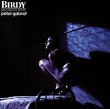 Birdy