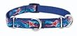 Lupine Medium Martingale Style Dog Collar - Dolphin Bay (19-27 inches)