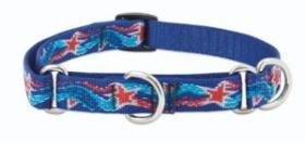 Lupine Medium Martingale Style Dog Collar - Dolphin Bay (10-14 inches)