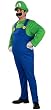 Deluxe Adult Luigi Costume
