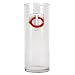 Minnesota Twins MLB 9 Flower Vase - Primary Logo by Great American Products
