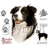 Border Collie Adult T-Shirt