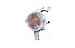 ***DRIVER / LEFT SIDE ONLY*** 02-06 MINI COOPER ( BASE, S MODEL ) PARK TURN SIGNAL LI...