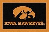 Iowa Hawkeyes 2' 8 x 3' 10 Team Spirit Area Rug
