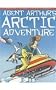 Agent Arthur's Arctic Adventure (Usborne Puzzle Adventures)