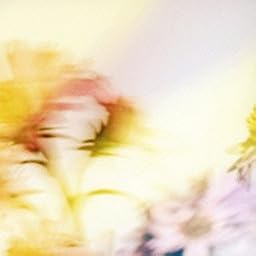シオン(通常盤B)