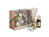 Review Aromatique  / Orange and Evergreen Mini Reed Diffuser by Aromatique
