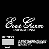 エバーグリーン(EVERGREEN) エバーグリーンボートディカルステッカー シルバー M