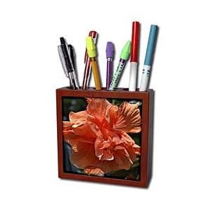 WhiteOak Photography Floral Prints - Peach Hibiscus - Tile Pen Holders-5 inch tile pen holder