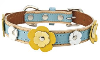 犬用首輪 フローレンスカラー ブルー 40 birdie バーディ