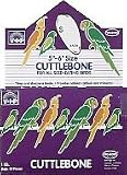 Vo-Toys Cuttlebone 5 to 6in in 1lb Bulk for Birds